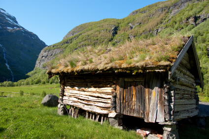 greeroofcabin.jpg